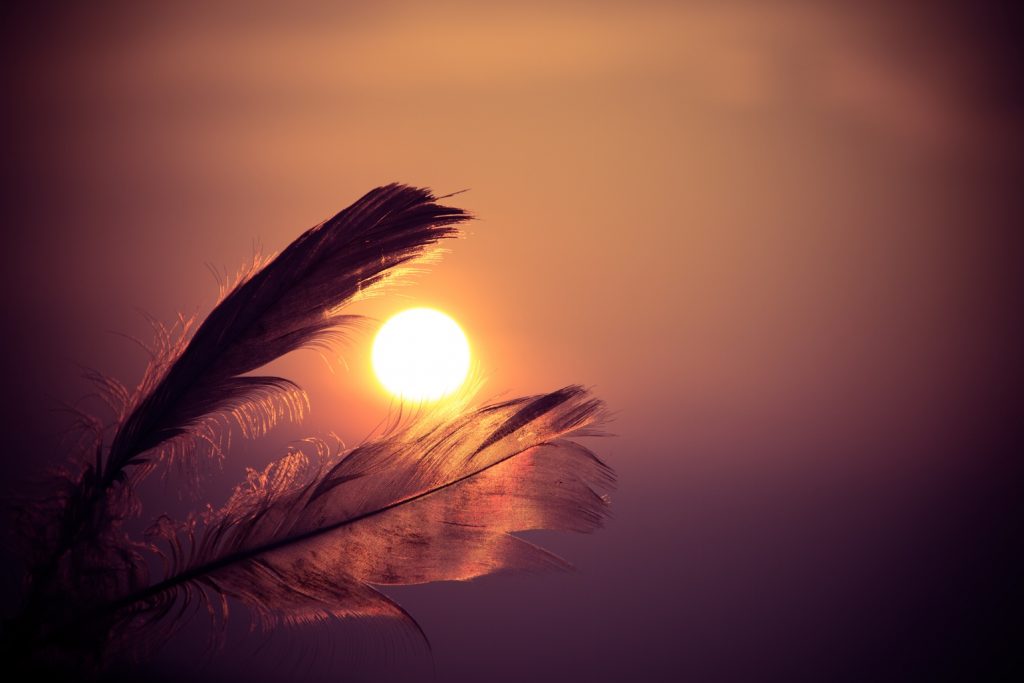 sunset_feather_adku
